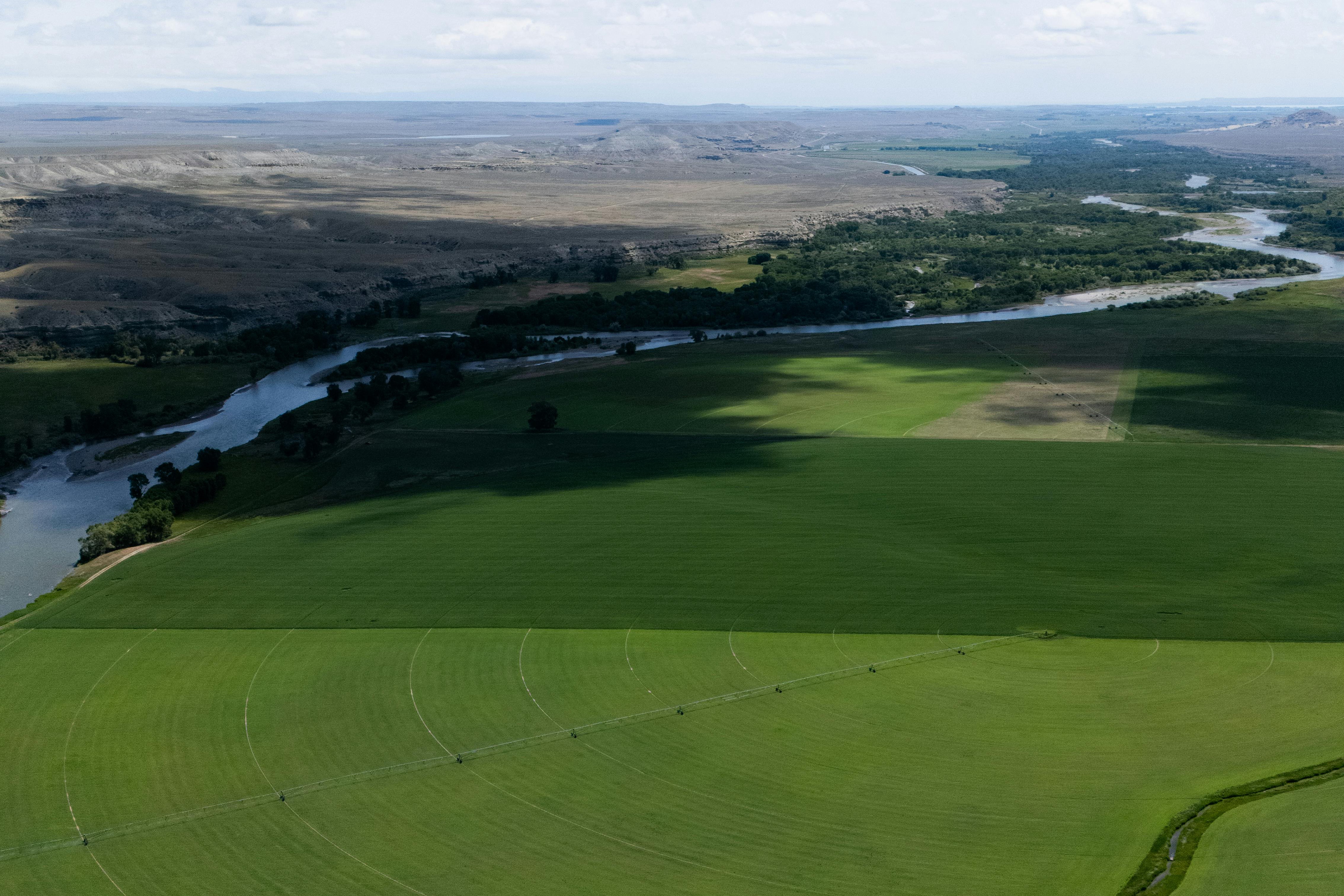 precision irrigation